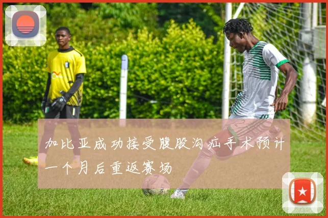 加比亚成功接受腹股沟疝手术预计一个月后重返赛场